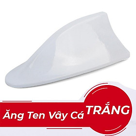 Ăng ten vây cá không đèn, ốp được cây ăng ten cũ