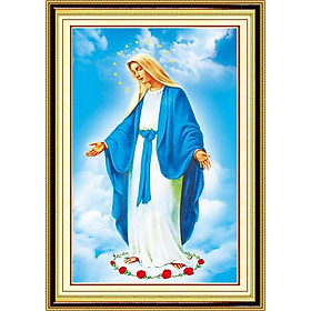 Tranh thêu kín Hoa mẫu đơn DX1414, kích thước 55 x 70 cm