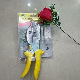 Mua kéo cắt la phông Maxpro