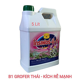 Phân bón lá Vitamin B1 Grofer Thái Lan , can 5 lít - Mẫu mới nhất