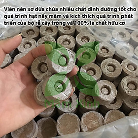 100 Viên Nén Nảy Mầm/ Viên Nén Xơ Dừa (D2.300)