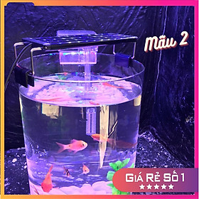 Bể cá mini để bàn tròn D20H30 COMBO Hồ Lọc Đèn kèm phụ kiện tiểu cảnh