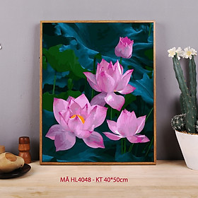 Mua Tranh tô màu theo số sơn dầu số hóa hoa sen hồng HL4048