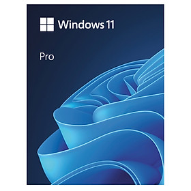 Phần mềm bản quyền Windows 11 Pro FPP 64-bit Eng Intl USB ( HAV-00163 ) - Hàng Chính Hãng