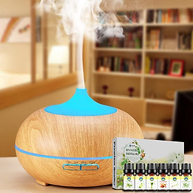 Máy đuổi muỗi Raid hương khuynh diệp S644010 21ml