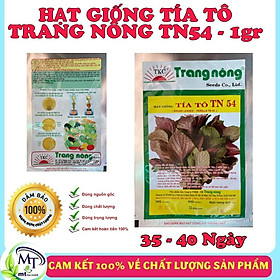 Hạt Giống Tía Tô TN 54 - 1g - Trang Nông - Thu Hoạch Nhiều Lần