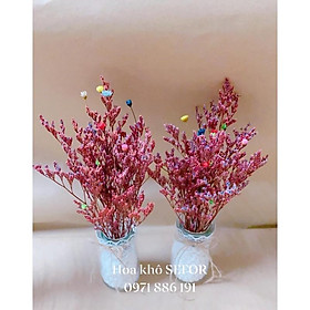 Mua Lọ hoa sao đuôi công/cỏ tình nhân khô ️Hoa sao khô️ Hoa khô trang trí quán cafe  trà sữa  làm quà tặng
