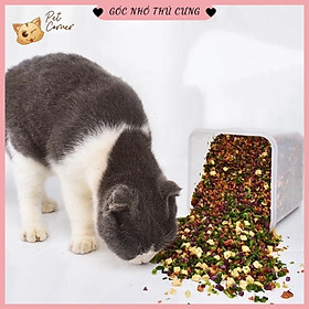 [200gr] Trái cây và rau củ sấy cho chó mèo - Gói 100gr
