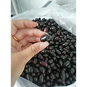 Mua Cây Trâm Đen ..6 tháng cho trái