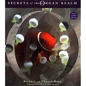 Secrets of the Ocean Realm