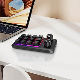12 Key Keyboard Hotswap Keyboard Bluetooth RGB LED Copy Paste Custom Shortcuts with Knob Keyboard for Game Office PC Working LR