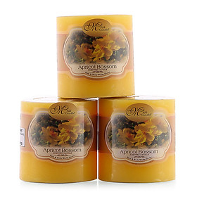 Mua Set 3 Nến thơm trụ tròn D5H5 Miss Candle EDC0504 (5 x 5 cm)