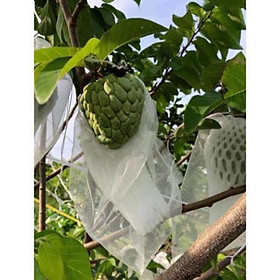 Mua SET 100 TÚI BỌC TRÁI CÂY BƠ  ỔI  NA  XOÀI KT 20X30