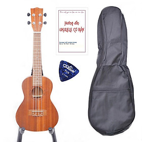 Mua Đàn Ukulele size Concert gỗ Mahogany nguyên tấm + Tặng Bao + Phím gảy