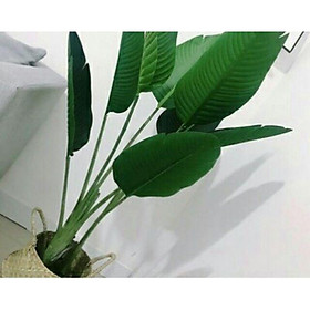 Mua Cây chuối giả cao 1m6