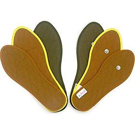 Combo 3 đôi lót giày Hương Quế (CI-1, CI-02, CI-14) khử mùi hôi chân - phòng cảm cúm - hút ẩm êm chân - tốt cho sức khỏe