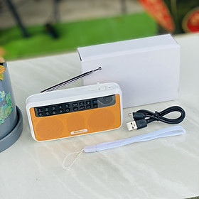 Mua Loa Pháp Thoại 1688 Bài Giảng Nghe Phật Pháp Dưỡng Tâm Kết Nối Bluetooth Có Cổng Thẻ Nhớ giúp ông bà  ba mẹ bình an Quà Tặng Ý Nghĩa hàng nhập khẩu