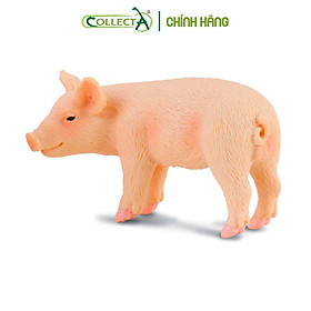Mô hình thu nhỏ Lợn con - Đứng - Piglet, hiệu CollectA, mã HS 9650042