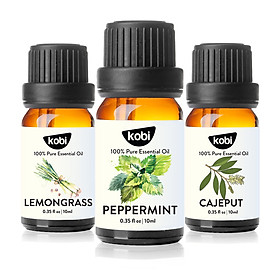 Combo Tinh Dầu Sả Chanh Kobi (10ml) + Tinh Dầu Bạc Hà Kobi (10ml) + Tinh Dầu Tràm Gió Kobi (10ml) - Tinh Dầu Thiên Nhiên Nguyên Chất, Giúp Giảm Stress, Làm Thơm Phòng