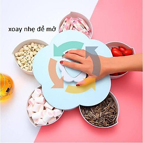 Mua Hộp Đựng Bánh Kẹo  Khay Đựng Mứt Tết Nhiều Cánh Hoa Xoay Yoota