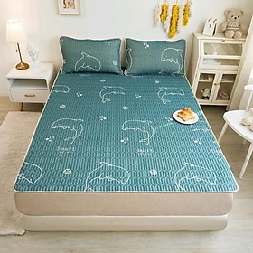 Mua Chiếu điều hoà cao su non 2D tặng kèm 2 vỏ gối_chiếu điều hoà loại 1 ( được chọn mầu)