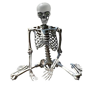 Halloween Skeleton Skeleton Model Haunted House Accessories Full Body  Joints Skeleton Scary Skeletons for Holiday, Lawn ,Home, Backyard