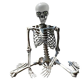 Halloween Skeleton Props Party Favors Yard Full Body  Joints Skeleton