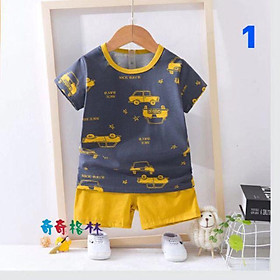 Bộ Cotton cộc tay Bé trai sz 90-140