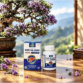Diệp Hạ Châu plus Kingphar 3 , Hộp 40 viên– Giúp tăng cường chức năng gan, bảo vệ tế bào gan