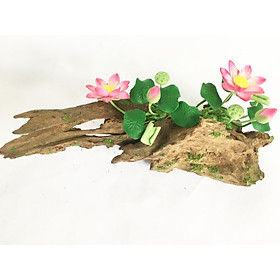 Lũa gỗ hình dáng tự nhiên kết hợp Hoa sen đất sét mini (2 bụi sen hồng) - Quà tặng trang trí handmade (20x10x10cm)