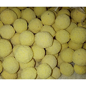 1 kg Sứ Bi Tròn Vàng Lọc Nước Hồ Cá Cảnh