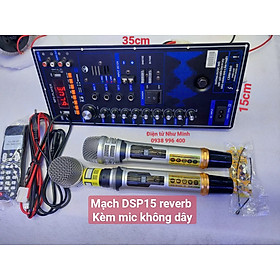 Mạch Kia Kéo 4 tấc đôi DSP15 KÈM MIC KHÔNG DÂY UGX21