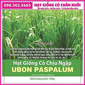 Hạt giống cỏ xả chịu ngập UBON Paspalum - gói 0.5kg