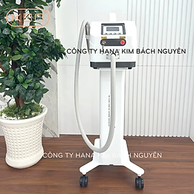 Máy Xóa Xăm Loại Bỏ Sắc Tố Da RG 193+ ND YAG