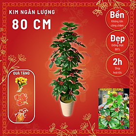 Mua Cây kim ngân lượng  cây kim ngân lượng decor  cây ngân lượng giả trang trí  cây cheery 72cm (chưa bao gồm chậu)