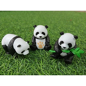 Mua 1 con gấu trúc giao ngẫu nhiên | Phụ kiện tiểu cảnh terrarium