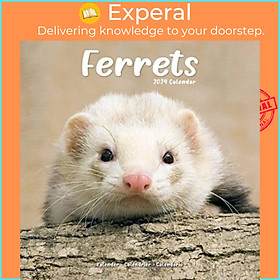 Sách - Ferrets Calendar 2024  Square Animal Wall Calendar - 16 Month by  (UK edition, paperback)