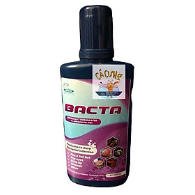 Bacta Cz8 - Trị nấm lở loét cho cá cảnh