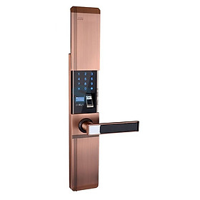 Mua KHÓA THÔNG MINH VR-HB918/81 6IN1 CHO CỬA GỖ