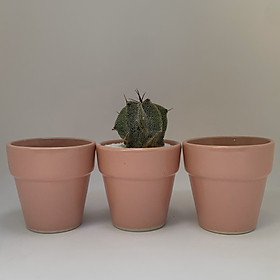 Bộ 3 Chậu Sứ - 7x7x7 Cm - Mầu Hồng - Dáng Trôn Ốc - Chậu Gốm Bát Tràng Trồng Cây Mini Để Bàn, Tiểu Cảnh Terrarium, Sen Đá & Xương Rồng