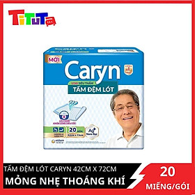 Tấm Đệm Lót Siêu Thấm Caryn (20 Miếng)