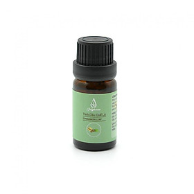 Tinh dầu Quế Lá JULYHOUSE 10ml.
