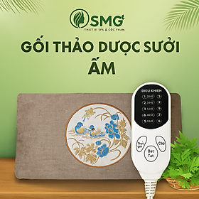Mua Gối Sưởji Ấm Ngải Cứu – Giải Pháp Giảm Đau Mỏji Vai Gáy  Lưng  Cổ Hiệu Quả Loại Xịn   gối ngủ
