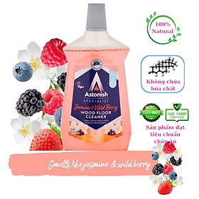 NƯỚC LAU SÀN GỖ ASTONISH C6120 1L