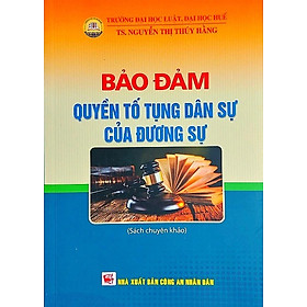 Bảo Đảm Quyền Tố Tụng Dân Sự Của Đương Sự