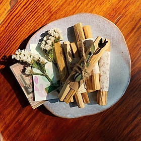 Mua Gỗ Thánh Palo Santo- Gỗ trắc xanh khai thác bền vững
