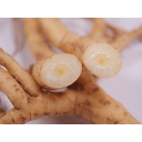 - Sâm Dây Ngọc Linh Loại 1 Langbiang Food 100g