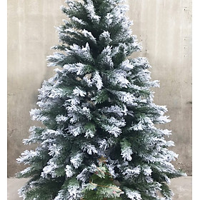 Mua Cây thông noel 3 loại lá phủ tuyết (Cây 120cm)