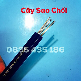 Mua CÂY SAO CHỔI (Dò 3 Chấu) - Dụng Cụ Diện Chẩn