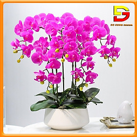 Mua Hoa Giả Chậu Hoa Lan Hồ Điệp Cao 60cm Trang Trí Decor Nhà Cửa Sang Trọng DG-102